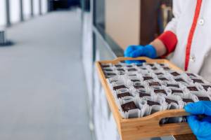 Propiedades del chocolate