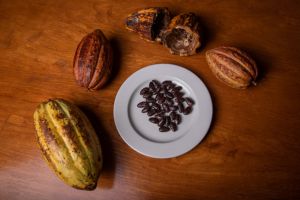 Propiedades del chocolate