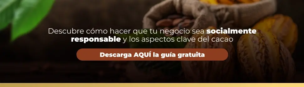 chocolukeria-banner-guia-como-hacer-tu-negocio-socialmente-responsable